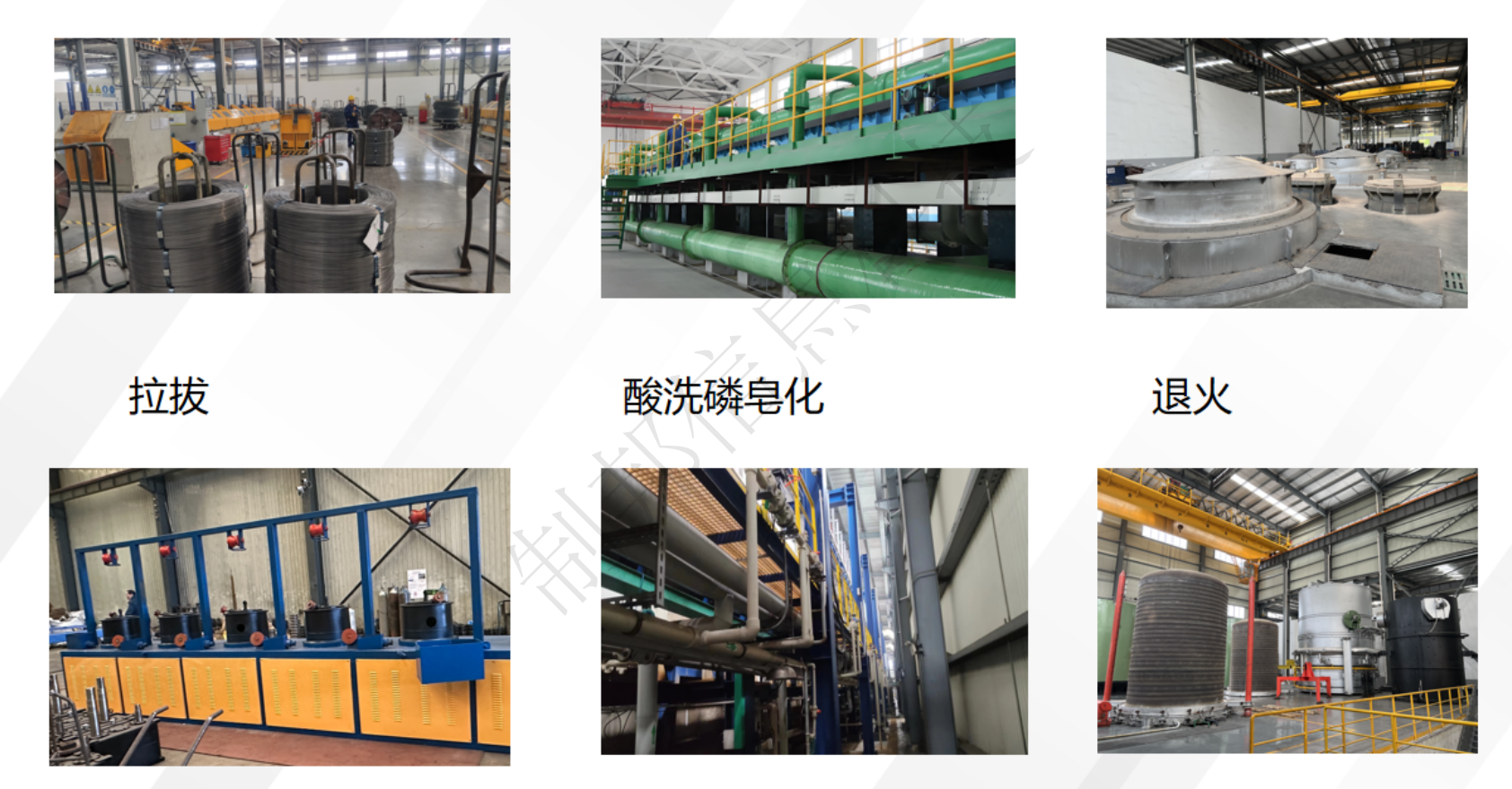 WX20250321-102654@2x